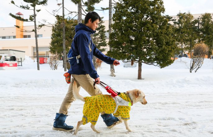 盲導犬の価値を広めたい 盲導犬訓練士 成島 右京さんインタビュー 北海道 未来のしごとの参考書